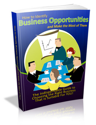 Product picture How to Identify Business Opportunities and Make the most of 