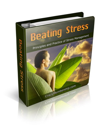 Product picture Beating Stress