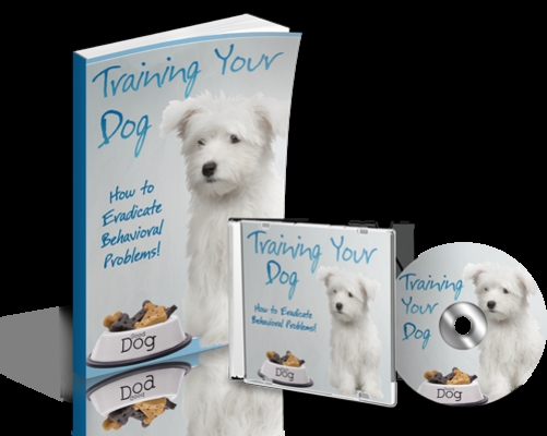 Product picture Training Your Dog 
