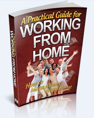 Product picture A Practical Guide For Working From Home (PLR)