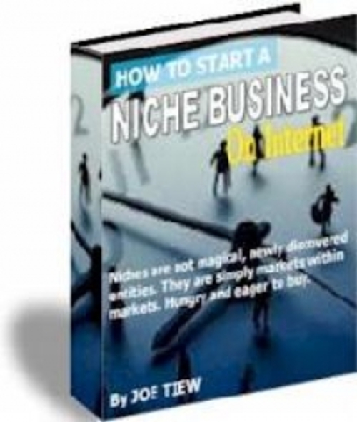 Product picture How to Start A Niche Business On Internet 
